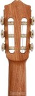Cordoba Protege C1m  Nylon String Acoustic Guitar - Natural