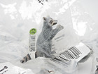 15x Schleich 14604 Raccoon Wildlife Figure - New In Original Packaging