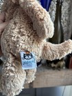Jellycat Bashful Toffee Puppy Medium 12 Inches Brown Plush London
