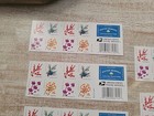  5   Books Of Us Winter Berries Booklet Of 20 Forever Stamps  Free Shipping
