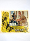 Set Of 4 The Black Tent 1956 Lobby Card Movie Poster Uk Rank Anthony Steel Wwii