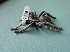 Bullyland Brazilian White Knee Tarantula Figure Wildlife Spider 68457 Toy W  Tag