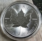 2025 Canada Silver Maple Leaf 5 Dollars - 1 Ea - 1 Oz -9999 Silver-bu In Capsule