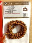 Lab Certified 5 Mukhi Rudraksha Rudraksh Mala Rosary 108 1 Bead Prayer Beads