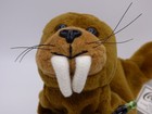 Coca-cola - 1999 Intl Collection Plush -  0242 Waller The Walrus  greenland 