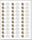 150 Cute Squirrel With Flowers Mailing Return Address Labels Personalized