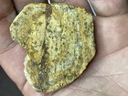 Plume Moss Agate Slabs Rough Lapidary Slices 4 Piece Specimen Set 115g 