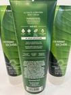 Bath   Body Works Rainkissed Leaves Body Cream Lot Of 3 Bottles New 8 Oz Each