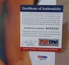Megan Fox Signed 11x14 Photo - Psa Dna