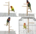 Bird Perch Stand Toy Natural Wood Parrot Perch Parakeet Cage Top Wooden Branc   