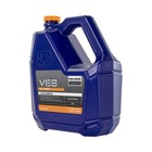 Polaris Snowmobile Ves Full Synthetic 2 Cycle Engine Oil For Switchback  Indy 
