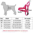 No Pull Dog Pet Harness Adjustable Control Vest Dogs Reflective Xxs Xs S M Large