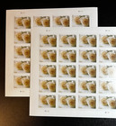 100ct  2011  Wedding Roses Stamps  5 Sheets  Free Shipping