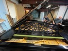 C  Bechstein Grand Piano Ebony Flawlessly Refinished   Restored Huge Price Drop 
