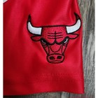 Adidas Chicago Bulls Basketball Shorts Kids Large 14 16 Red Nba Mesh Athletic
