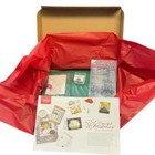 New Stampin    Up  Paper Pumpkin October 2021 Peaceful Christmas Greeting Card Kit