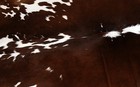 100  New Cowhide Rugs Area Cow Skin Leather  50  X 50   Cow Hide Sa-3518