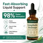 Lymphoria - Lymphatic Drainage Bloat Relief - Detox    Immune Support 59ml Us