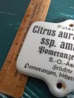Lot Of 7 Antique Porcelain German Historic Plant Labels Botanical Herbology