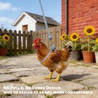 2 Pcs Adjustable Chicken Harness And Leash Set  Comfortable Duck Blue  Pink
