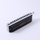 Easttop 12hole Chromatic Harmonica Forerunner Harmonica C  Chromatic Mouth Organ