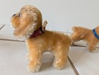 Vintage Steiff Boxer And Cockie 50s And 60s With Tags And Leather Collars