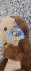 Nwt Justin Otter  18    Otter Plush Toy Factory Stuffed Animal New With Tags
