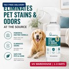 Pet Stain   Odor Remover For Dogs   Cats  Bio-enzyme Cleaner 32oz