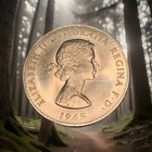 1965 Winston Churchill - Commemorative Crown Coin - Brilliant Uncirculated