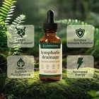 Lymphoria Lymphatic Drainage Drops Herbal Liquid Lymph Support Wellness Tincture
