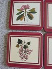 Pimpernel Cork Drink Coasters Flora Japonica Flowers Floral Set Of 6