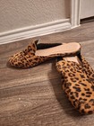 A New Day Women   s Animal Print Mule Flats Almond Toe Slip-on Synthetic Us 11 M