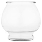 Footed Glass Fish Bowl 1 Gallon Crystal Clear Aquarium Habitat Display New