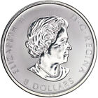 2016 Rcm Canada  8 White Snow Falcon 1 5 Oz  9999 Fine Silver Bu Coin