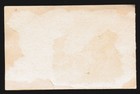 Victorian New Year Greeting Card -  a Happy Peaceful New Year  - White Roses