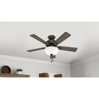 Hunter Fan 44 Inch Traditional New Bronze Ceiling Fan With Light And Pull Chain