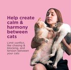 Comfort Zone Multi Cat Calming Diffuser Refills Value Kit - 6 Pack