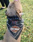 Harley Davidson Biker Black Strap Fringe Leather Triangle Bandana Dog Scarf