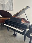 Yamaha Gb1 Ebony Polish