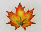 Vintage Norway Hroar Prydz Vermeil Sterling Silver 925 Enamel Autumn Leaf Brooch