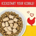 Stella And Chewy s Freeze Dried Raw Chewy S Chicken Meal Mixers Dog Food Topper