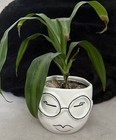 Fab Ceramic Pot     Grace      4 5 x 4 75 x 3 75  Perfect Little Planter W  Face