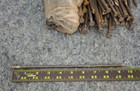 Metal Nails 10-inch Landscape Spike Nail 10  Anchoring Spikes 50-pack Paver Turf
