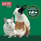 Kaytee Forti Diet Timothy Hay For Rabbits  Guinea Pigs  Hamsters  Chinchillas