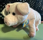Sniffs The Pig  5 Inch    Ty Beanie Baby 2 0 - New W tags