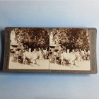 Ulwar Stereoview C1900 Real Photo India Ladies In Ox Drawn Coach