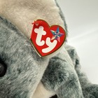 Ty Large Plush Beanie Buddy - Eucalyptus The Koala Bear  9 5 Inch  With Tag