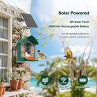 Bird Feeder With Camera With Ai Solar Panel Smart Bird House With Cam Live View