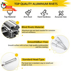 400pcs Silver Pop Rivets Assortment Kit  8 Sae Sizes Aluminum Rivets  1 8  3 16 