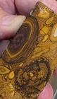 Australian Boulder Opal Rough Large Chunk Koroit Over 1400 Carats